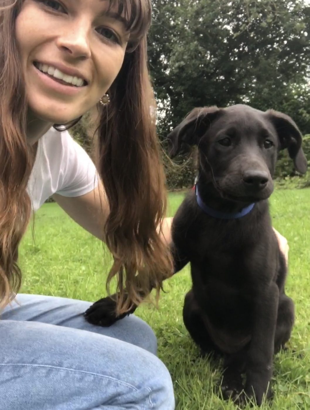 Pip with a black Labrador puppy